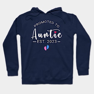 Promoted to auntie est 2023 Hoodie